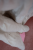 DSC_6198.png