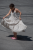 DSC_6235.png