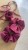 IMG_7360.jpeg